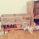 홍의청소년수련원 이미지