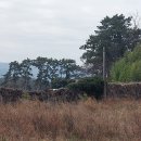 강진보건지소 이미지