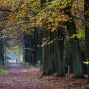 참재활의학과의원 이미지