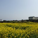 세화바당