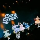 스트리트 마이데일리