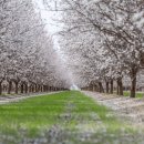 연신농장 이미지