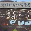 항아리식물원