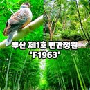 수영모터스 | F1963 주차 가능한 부산 민간정원 수영구 복합문화공간 이용정보