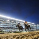 엠에이치메디컬 이미지