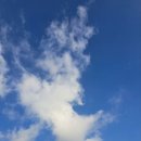 신흥여객 | 어청도 여행 반값여행 군산관광 군산항 연안여객터미널 + 양지민박