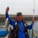 용전발전소 네이버블로그