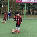 국예태권도장 이미지