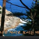 홍광민박 Daum카페