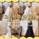 [W08-1. 웨딩드레스] 로우케이 더뷸라 촬영드레스 셀렉 및 가봉 후기 (ft.추가금,,,)