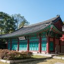 성균관대학교 네이버블로그