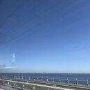 올림푸스한국(주) | 일본살이(20)-도쿄1박2일 도쿄역,에비스역,하베스트,하라주쿠,아임도넛,규카츠 알차다