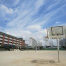 풍광초등학교 이미지