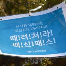 라쿤(Racoon) 이미지