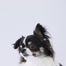 293사진관 이미지