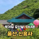 울산 신흥사 석조아미타여래좌상 | 울산 신흥사 절 | 부처님오신날 셔틀버스 타고 다녀온 힐링 사찰 방문기