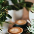 나도 한다 커피바리스타 자격증 이미지