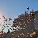 와룡산청룡사앞 이미지