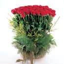 강하초등학교 이미지