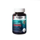 피티디데이 이미지