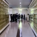 동백장례식장 | 용인평온의숲장례식장 평온마루 납골당 안내까지