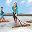 신안화장품 이미지