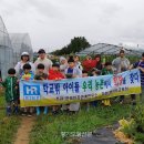 한국인간관계연구소