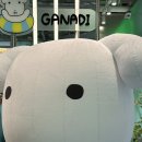 올리브영홍대