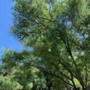 더나은커뮤니티 이미지