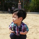 삼어초등학교 이미지