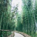 남가람공원 이미지