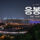 응봉산 티스토리