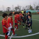 을숙도 미니축구장 이미지