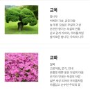 춘천교육대학교 부설초등학교 이미지