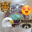 김관석 | 억울한 고3의 울부짖음:제발 저요. 저 아니면 안돼요.