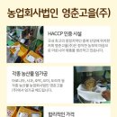 농업회사법인 영춘고을(주)