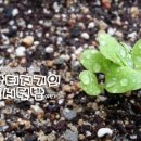 인의농장 이미지