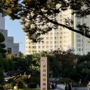 파주시민회관 대공연장 | 발레 판타지아 - 부천 관람후기 (부천시민회관 대공연장 좌석 시야)