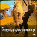 조은좌대낚시 이색 데이트코스 서해 태안 바다낚시 다녀온 후기