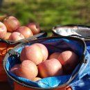 대미농장 이미지