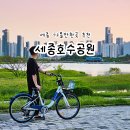 세종호수공원 제1주차장 | 세종호수공원 주차 피크닉 자전거 대전 근교 가볼만한곳 드라이브