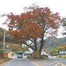 수락펜션민박 이미지