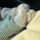 여주-0719 이미지