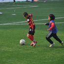 전주조촌초등학교 이미지