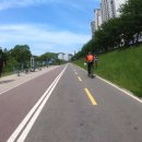 푸른솔 농장 이미지