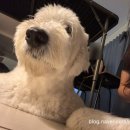 히든스테이민박 이미지