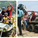 뜨락의아침 이미지