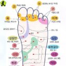 율곡수목원(3) 이미지