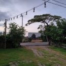 낙천리장 | 여행/3박4일/서귀포/안덕/한림/해조네/배낚시/오설록/낙천리장/에어비앤비/바베큐 ]남들 다 가는 여행지...