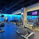 바디엔지니어스 이미지